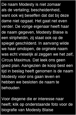 De naam Modesty is niet zomaar 
als de vertaling; bescheidenheid, 
want ook wij beseffen dat dat bij deze dame niet opgaat. Het gaat net even verder. De vorige eigenaar heeft haar de naam gegeven, Modesty Blaise is een stripheldin, zij staat ook op de spiegel geschilderd. In aanvang wilde we haar omdopen, de orginele naam was echt vreselijk al zeggen we het zelf, Circus Maximus. Dat leek ons geen goed plan. Aangezien de koop best een tijd in beslag heeft genomen is de naam Modesty voor ons gaan leven en hebben we besloten de naam te behouden

Voor diegene die er interesse naar heeft; klik op onderstaande foto voor de biografie van Modesty Blaise

