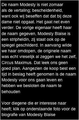 De naam Modesty is niet zomaar 
als de vertaling; bescheidenheid, 
want ook wij beseffen dat dat bij deze dame niet opgaat. Het gaat net even verder. De vorige eigenaar heeft haar de naam gegeven, Modesty Blaise is een stripheldin, zij staat ook op de spiegel geschilderd. In aanvang wilde we haar omdopen, de originele naam was echt vreselijk al zeggen we het zelf, Circus Maximus. Dat leek ons geen goed plan. Aangezien de koop best een tijd in beslag heeft genomen is de naam Modesty voor ons gaan leven en hebben we besloten de naam te behouden

Voor diegene die er interesse naar heeft; klik op onderstaande foto voor de biografie van Modesty Blaise

